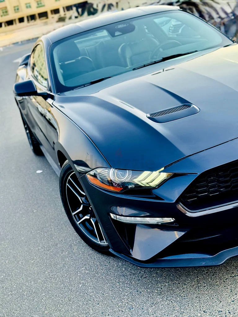 FORD MUSTANG 2023 EcoBoost63148646784259113