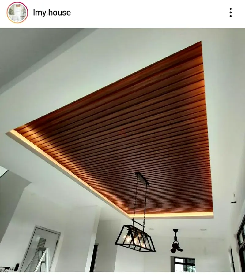 DPV_View_Image_8