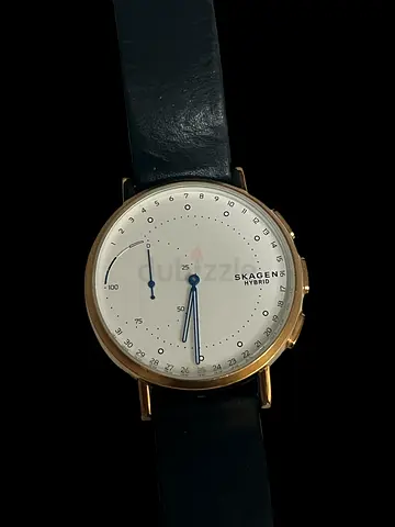 Skagen hybrid men’s watch used