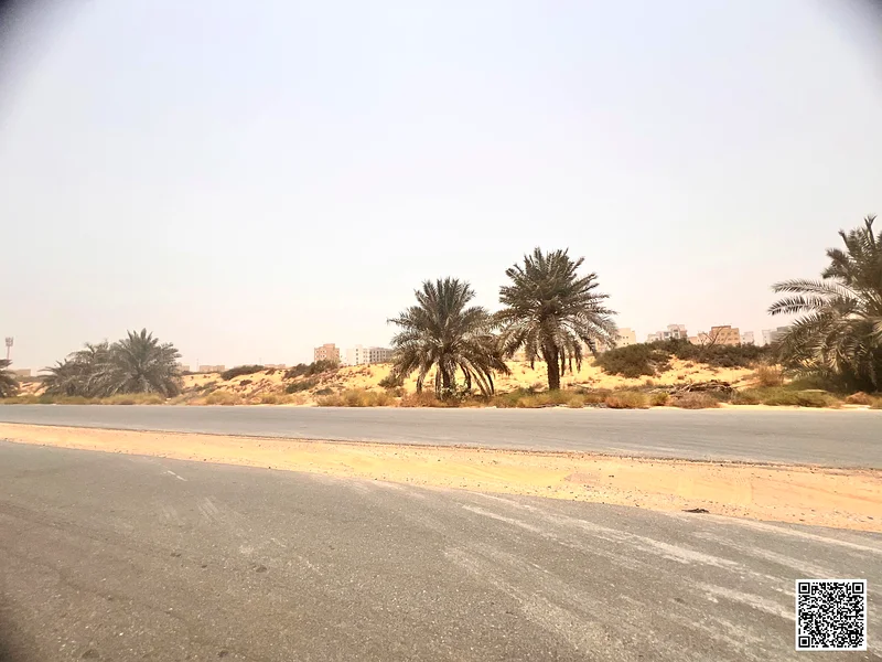 Land for Sale in Ajman AL AALIA - 15,500 sq ft G+3163199122417155111