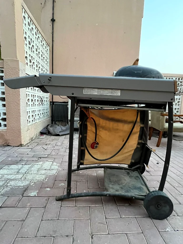 BBQ Garden Grill Gas  Charcoal63259186222083113