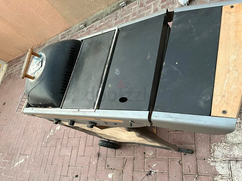 BBQ Garden Grill Gas  Charcoal63259186222083113