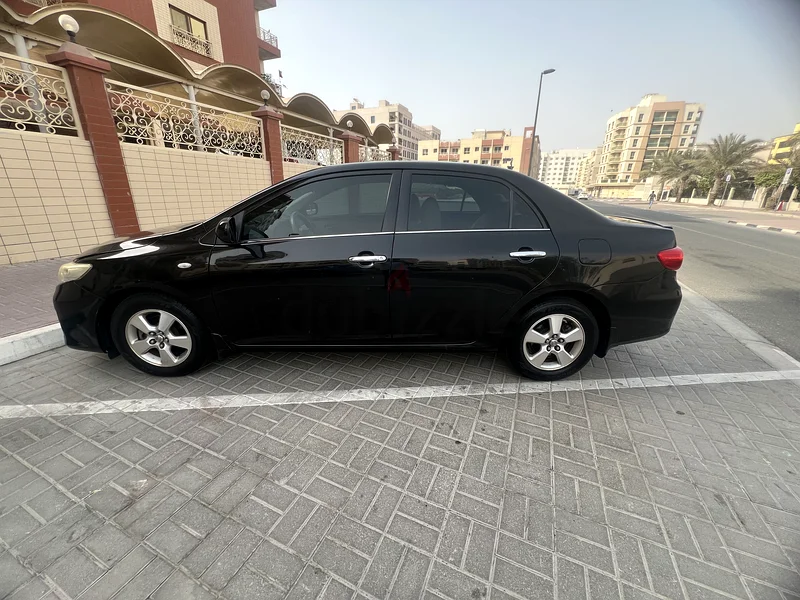 كوريولا63149120693633114