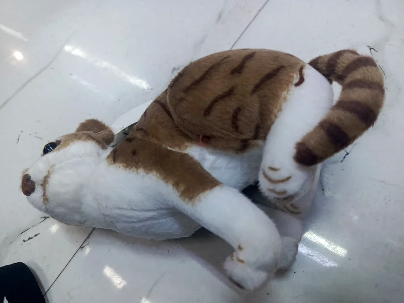 Adorable Plush Toy Set: Puppy  Kitty Duo63204853837825112