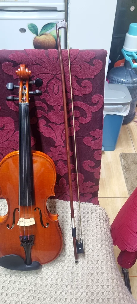 Elegant Violin for Sale - Perfect Musical Companion!63173863718402111