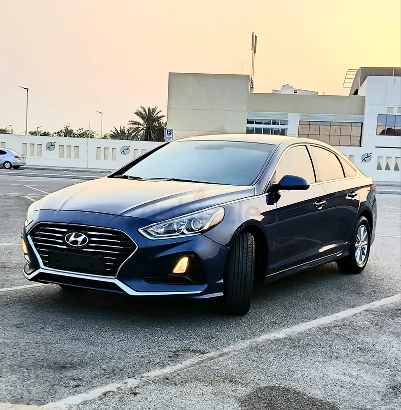 القرهود63169916619267113