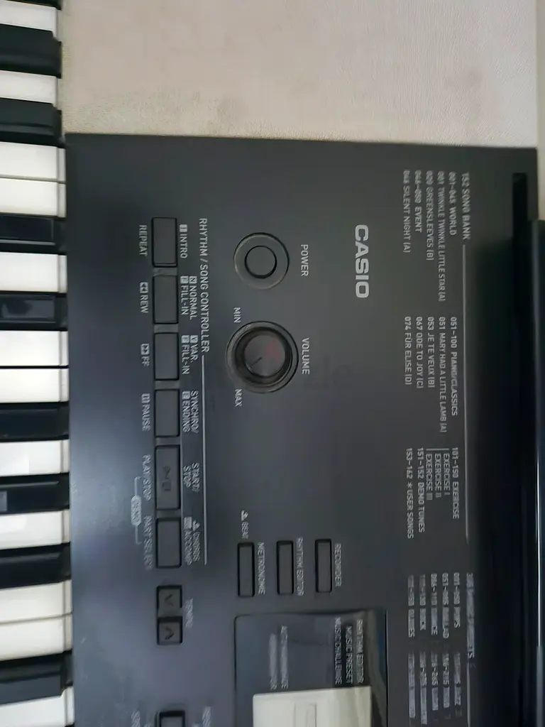 Casio Electronic Keyboard - Perfect for Beginners!