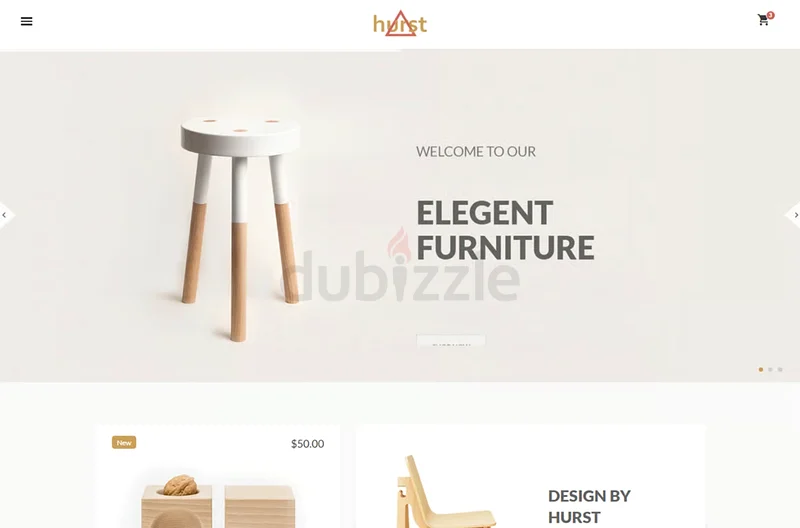 Website Development service in Ajman63438340327299111