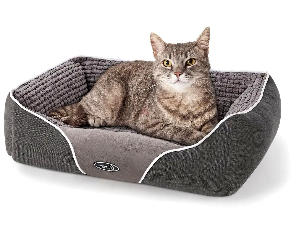 Cat bed on sale63232158676097111