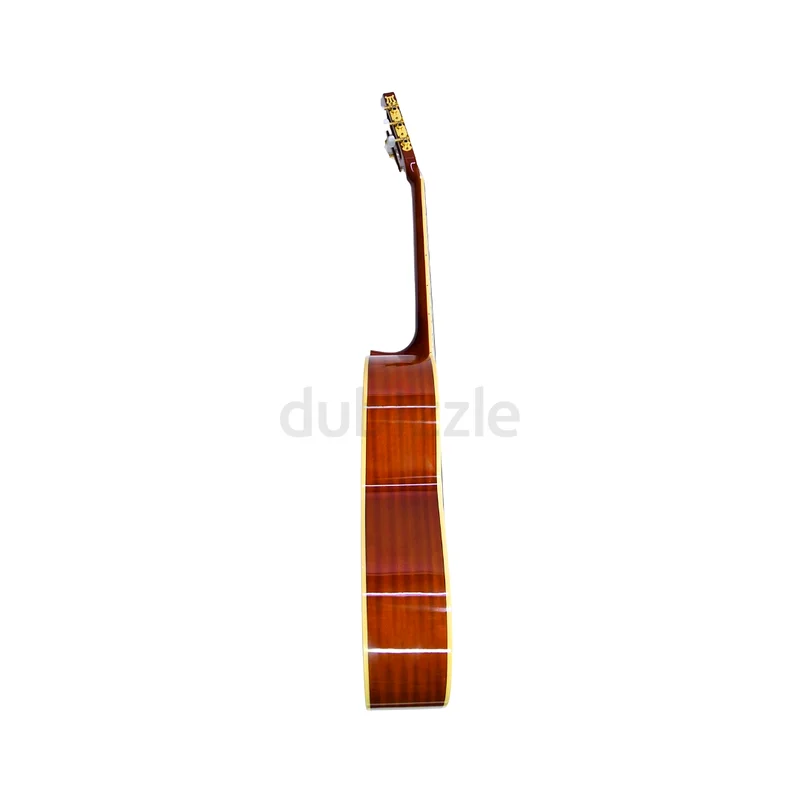 Steiner CG36C Classical Guitar 4/4 – Purple Burst63231693498753113