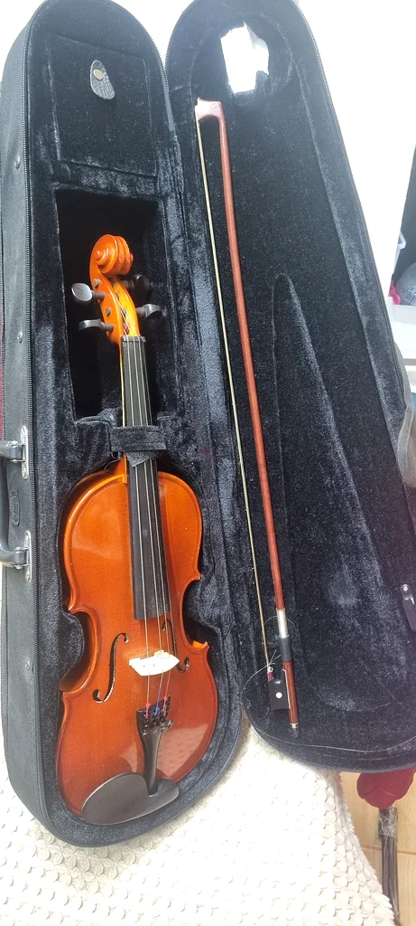 Elegant Violin for Sale - Perfect Musical Companion!63173863718402112