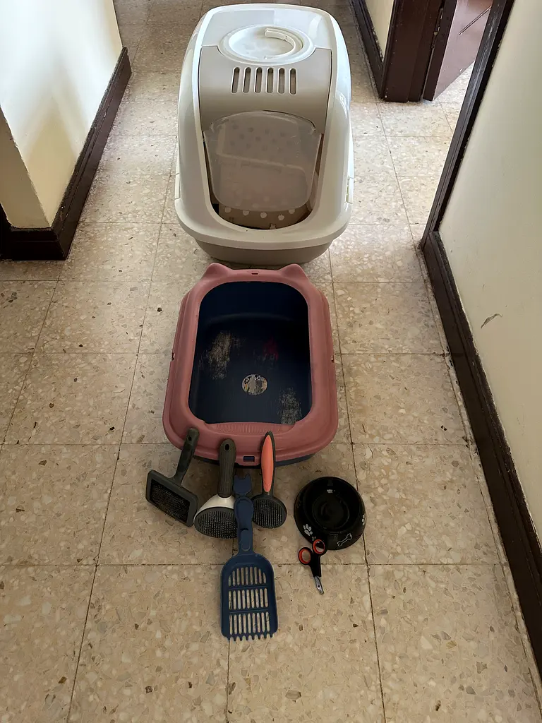 Cat accesories