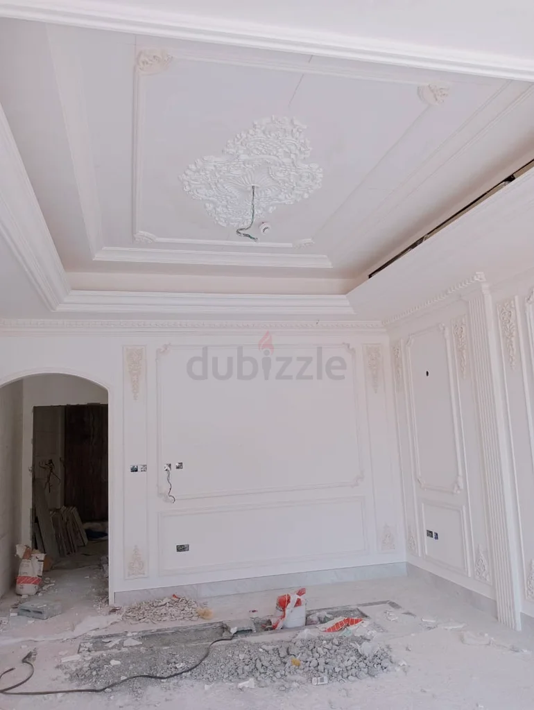 Electrical, plumbing, paint home renovation work63185247133441113