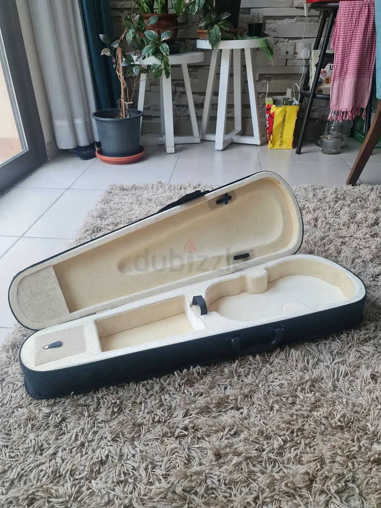 Violin case63227804441858112