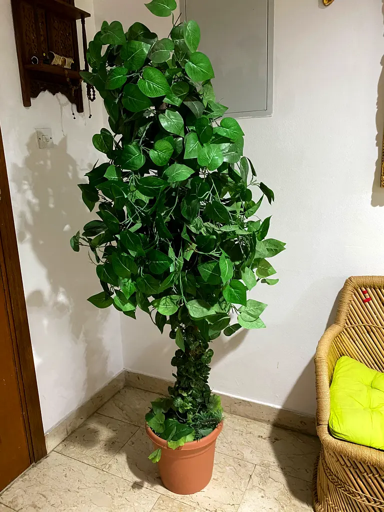 Decoration green tree