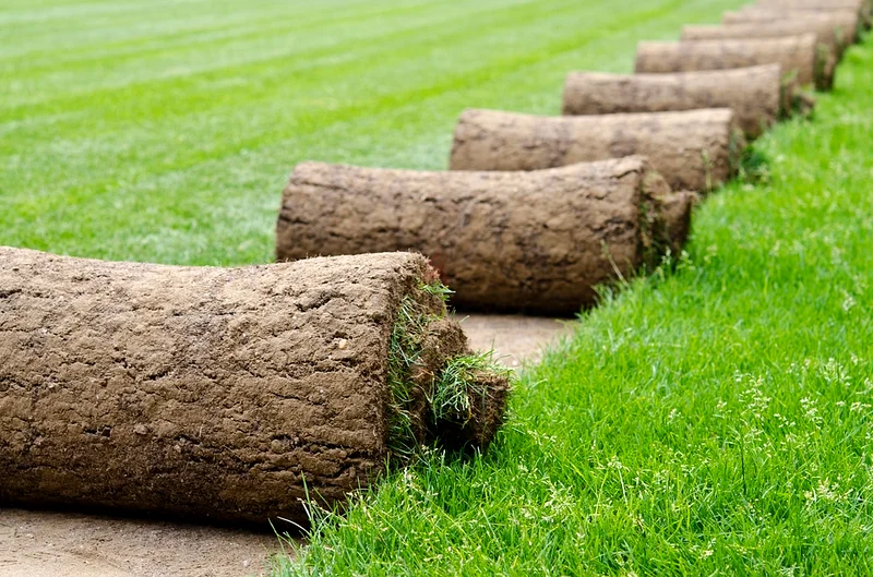 Premium Quality Roll of Natural Grass Turf for a Lush Lawn!63220828233986111