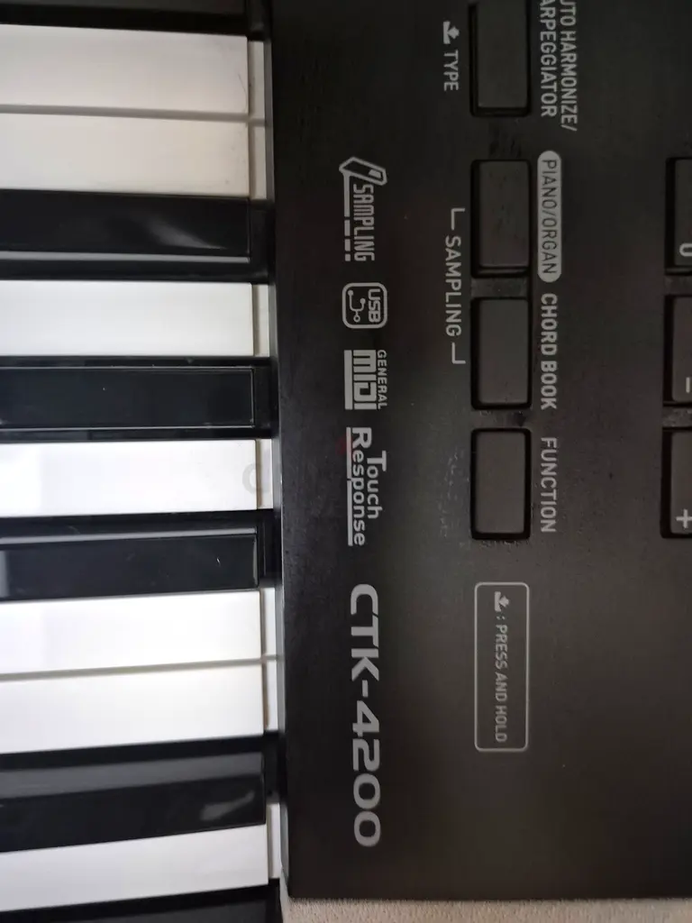 Casio Electronic Keyboard - Perfect for Beginners!63227806035201112