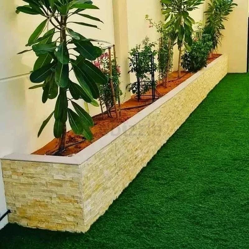 خدمات تنسيق الحدائق والصيانة63181797616130114