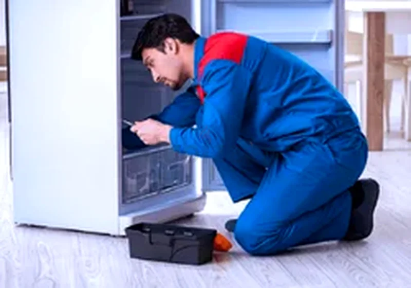 Refrigerator home  maintenance repairing service63219836027011111