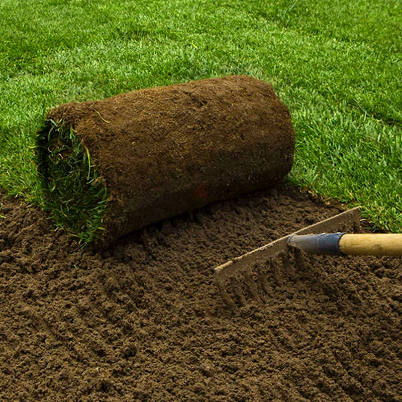 Premium Quality Roll of Natural Grass Turf for a Lush Lawn!63220828233986112