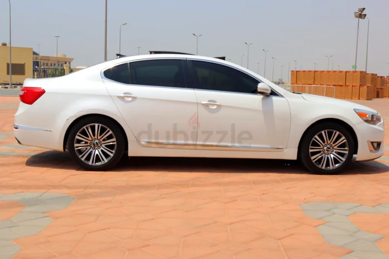Ajman al-Jarf63140195951491111