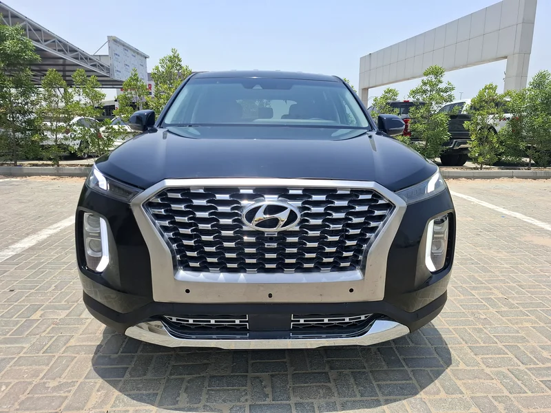 Hyundai palisade 202063151400753411111