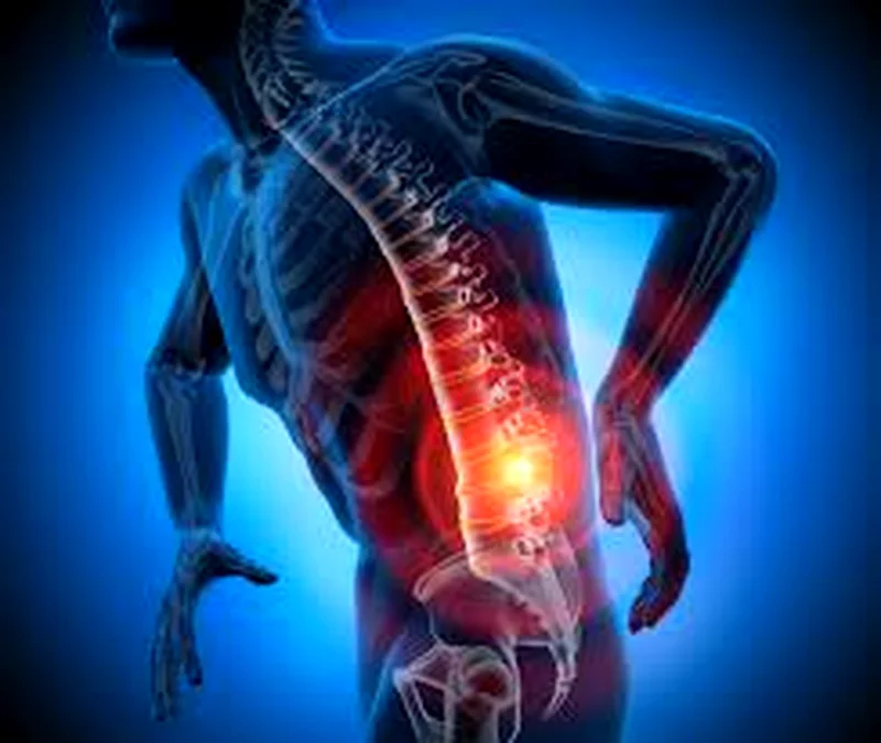 علاج فيزيائي احترافي، ومعالج تدليك لآلام الظهر والرياضة والأنسجة العميقة63219832275073111
