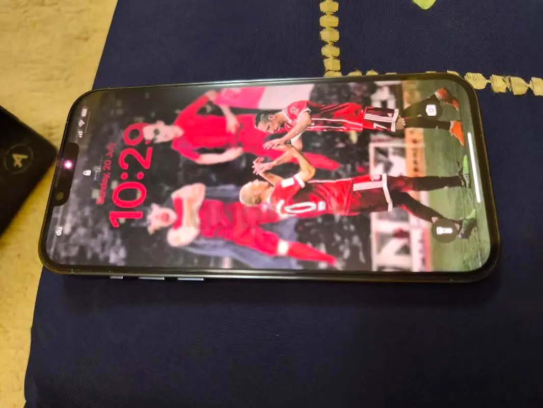 iPhone 13 pro max63213942037378111