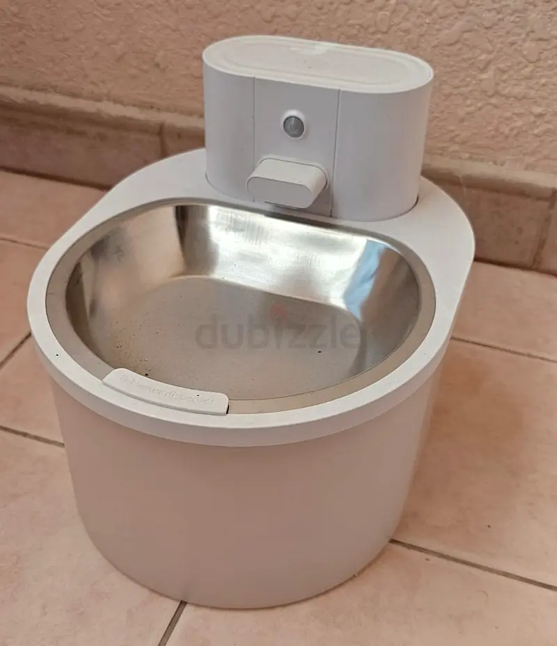 إكسسوارات القطط63232156890881112