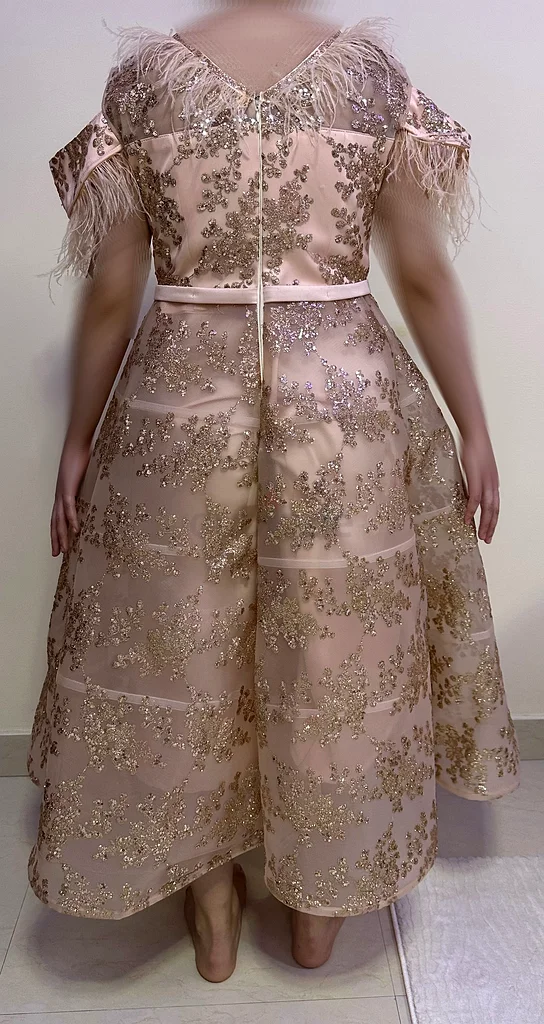 Pink wedding dress63243685248769111