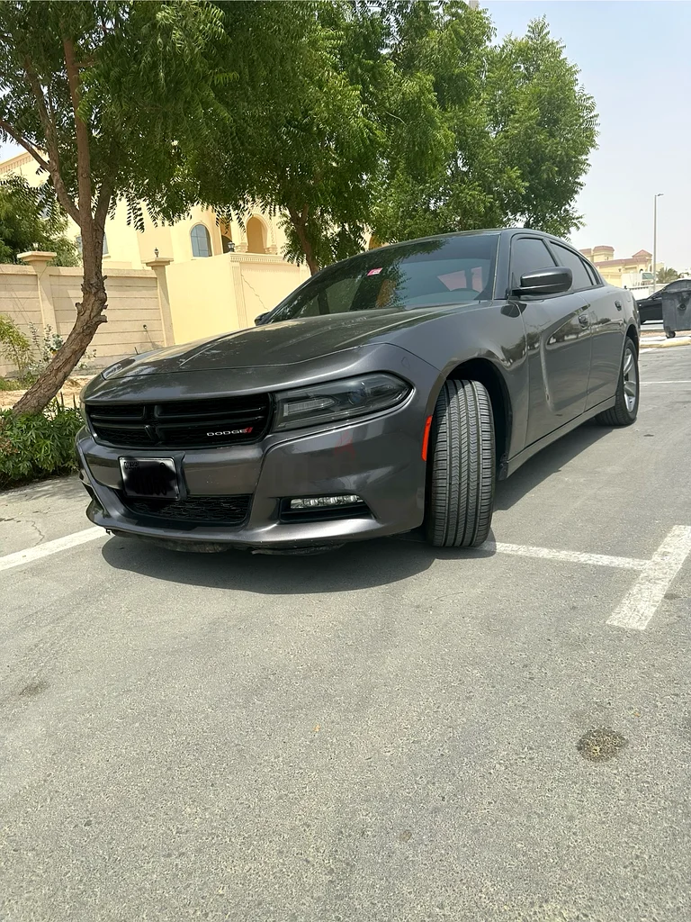 Clean Dodge Charger V6 2017 قمة في النظافة63172653233922114