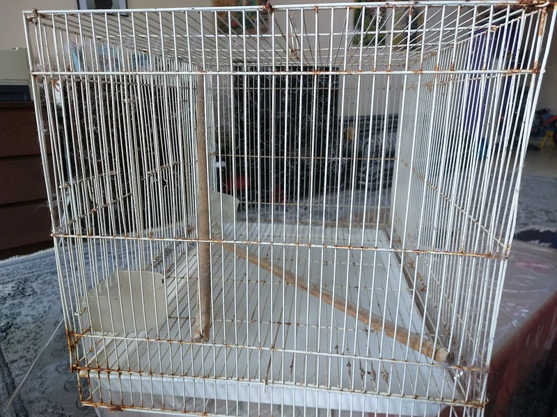 Large White Bird Cage for Sale - Perfect for Your Feathered Friend!63232162143107111