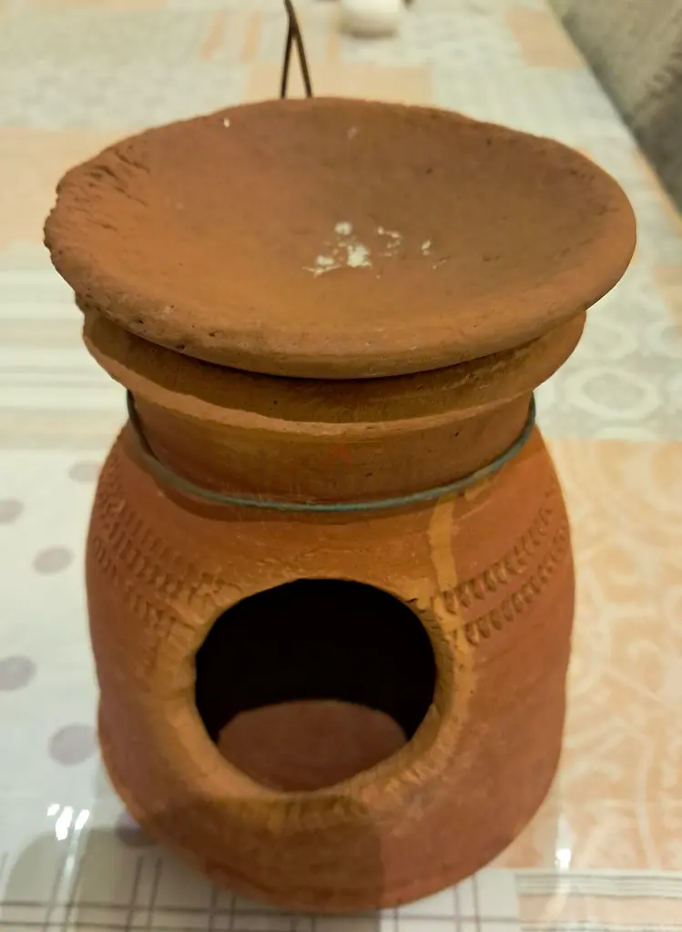 عش تكاثر الطيور 🪺