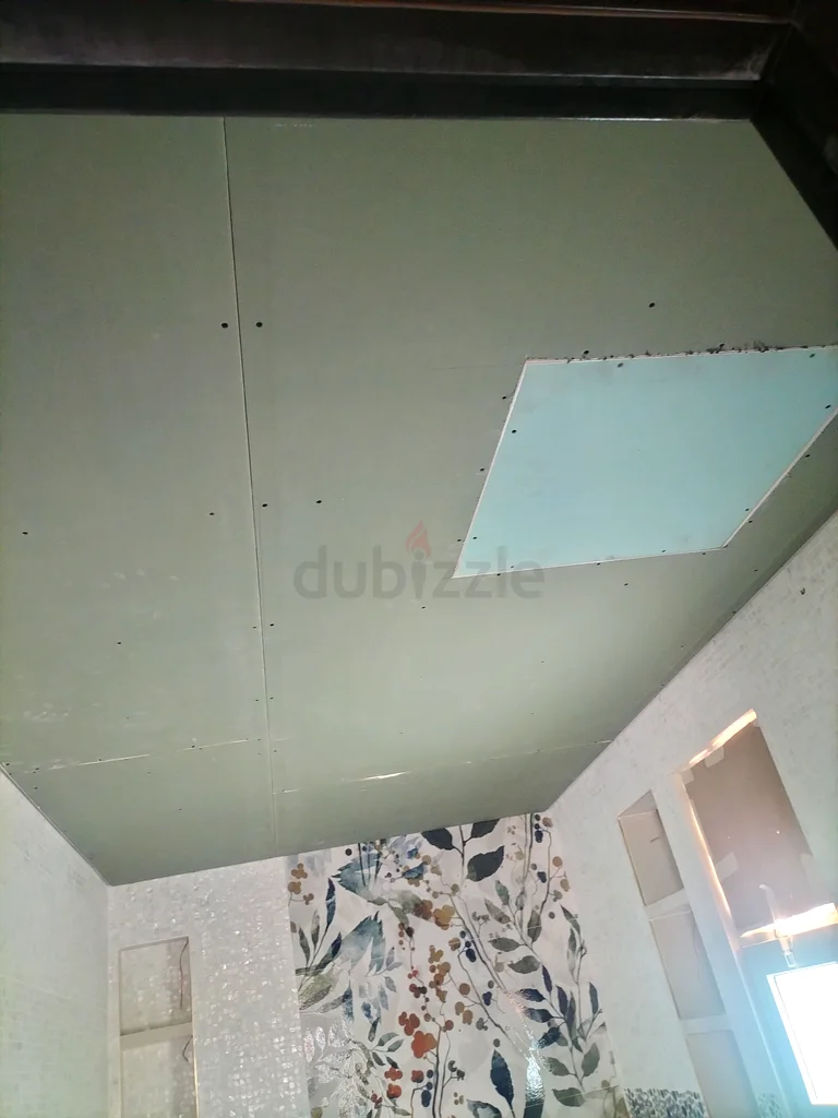 Gypsum bored carpenter63216363064451112