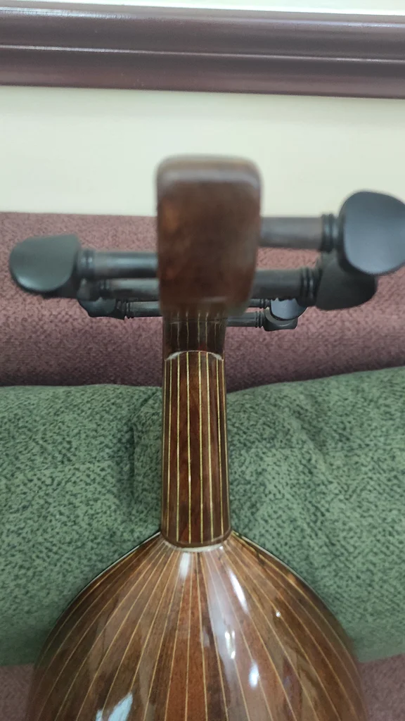 Professional Turkish Oud (Al-Diyar) Instrument63207396343169114