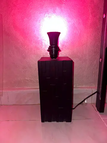 Real mango wood lamp