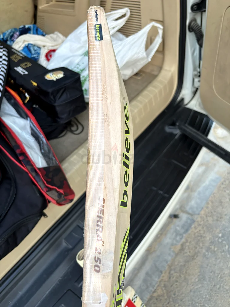 SG SEIRRA 250 and GRAY NICOLLS63250830534786113
