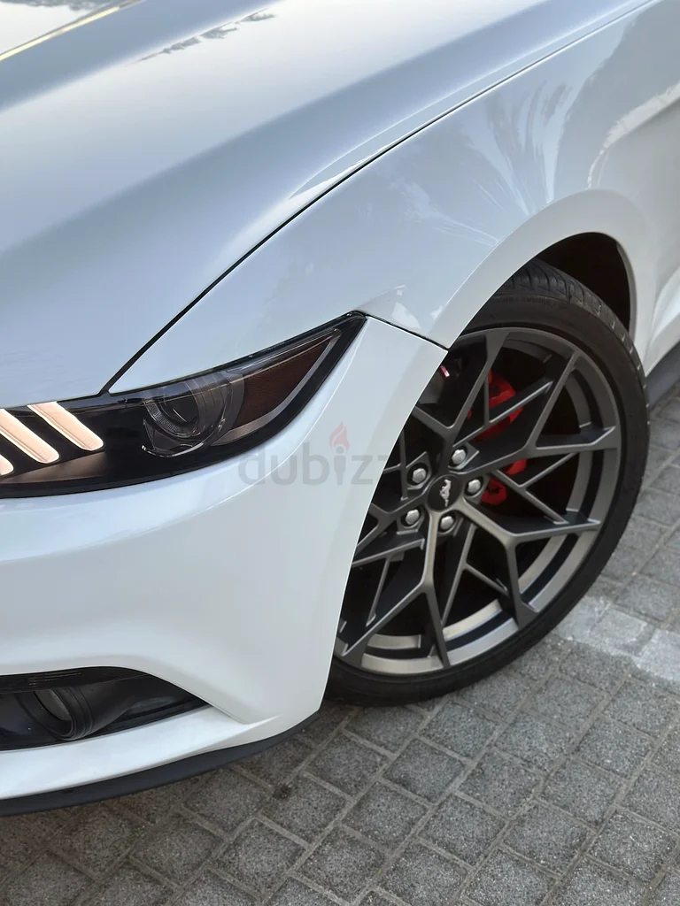 Mustang V6 2017 GCC63167557716609113