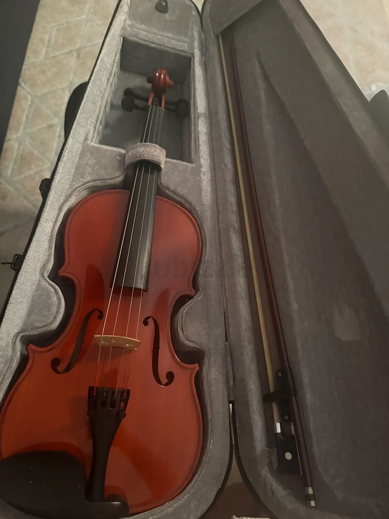 Violin 3/463229681598467112
