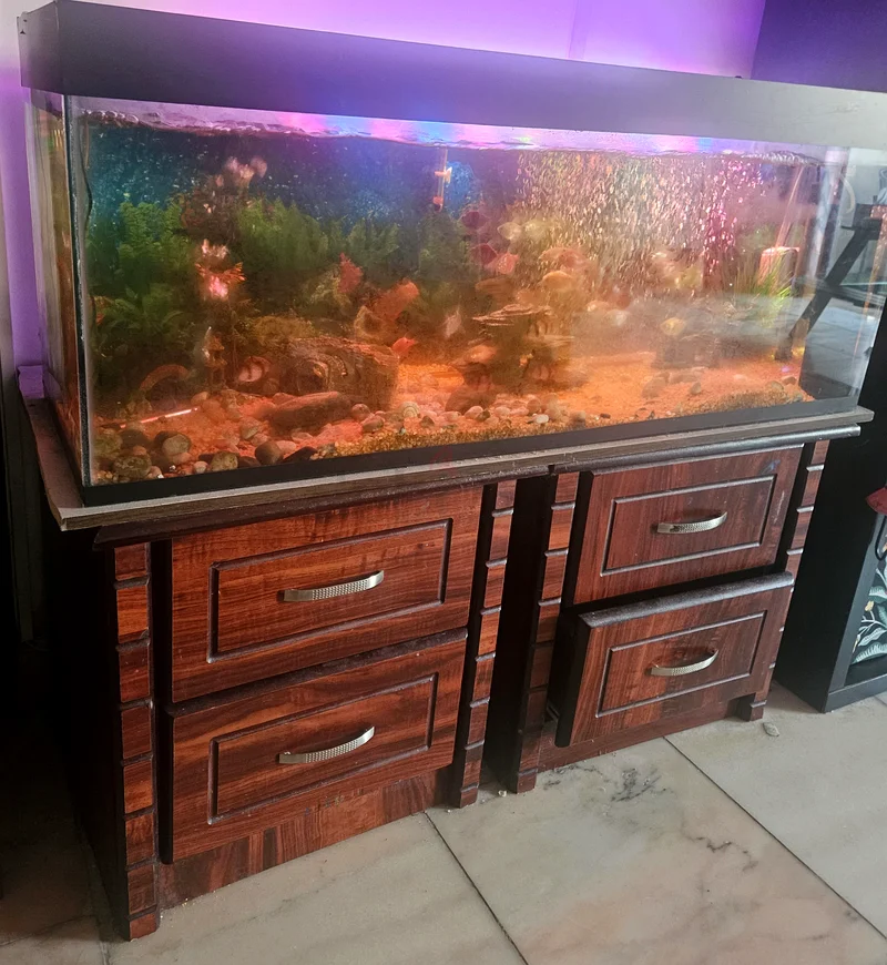 حوض سمك (بطول متر واحد) مع أسماك وإكسسوارات.63172681548801111