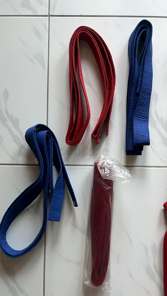 Karate/taekwondo kumite accessories63242170054273112