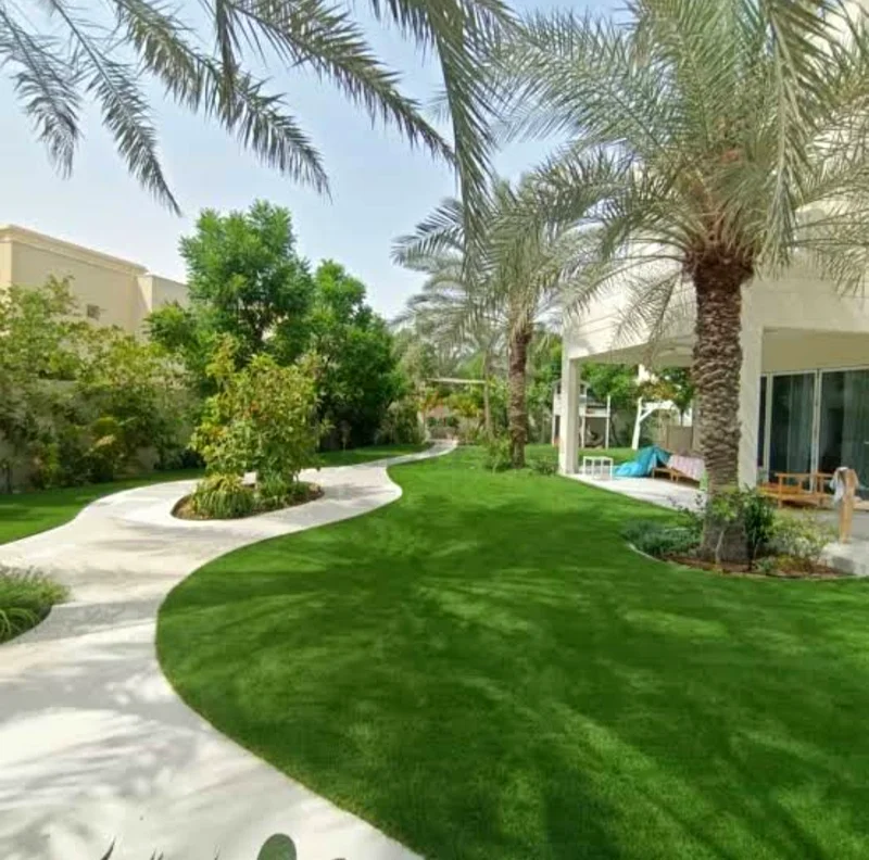 ممر حديقة مذهل مع أضواء مضيئة63220322024962111