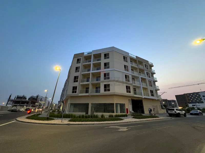 Golden Investment Opportunity in Dubai – Brand New Building for Sale in Liwan 263147213446786113