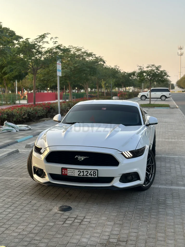 Mustang V6 2017 GCC63167557716609111