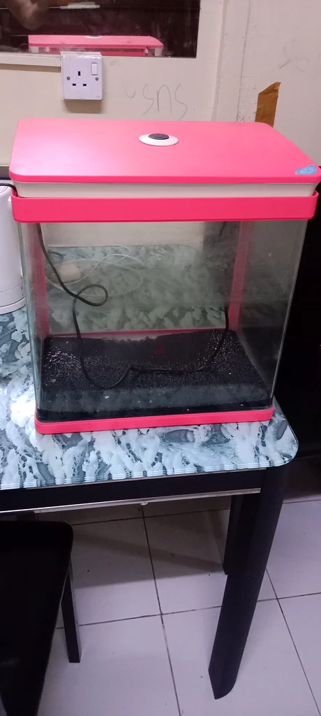 Aquarium for sale632385943586571122