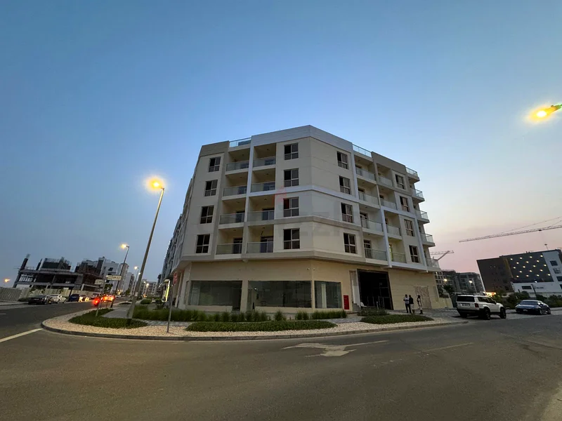 Golden Investment Opportunity in Dubai – Brand New Building for Sale in Liwan 263147213446786114