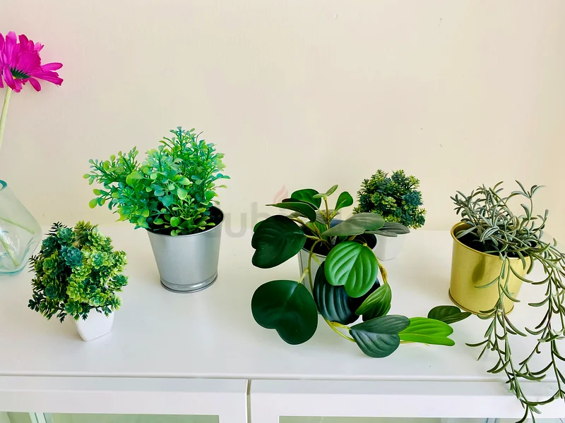 Ikea Vases - Fix price63226276827267111