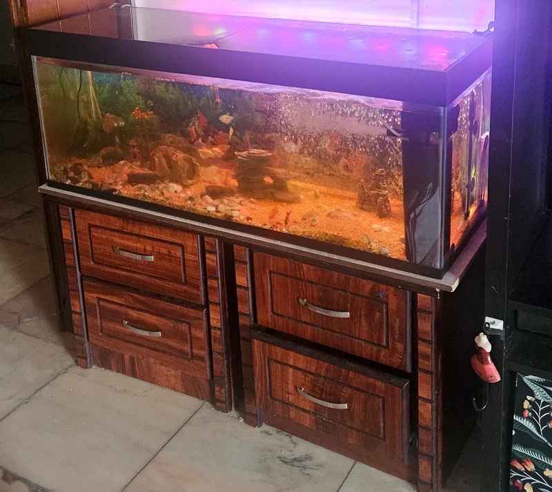 حوض سمك (بطول متر واحد) مع أسماك وإكسسوارات.63172681548801113