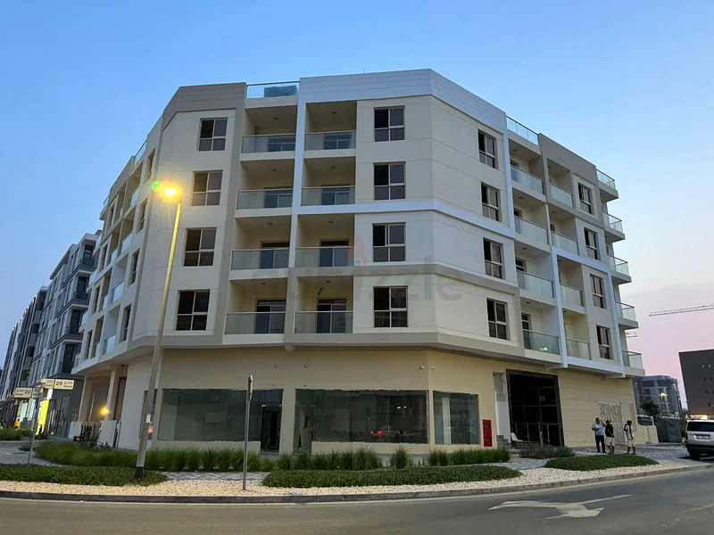 Golden Investment Opportunity in Dubai – Brand New Building for Sale in Liwan 263147213446786111