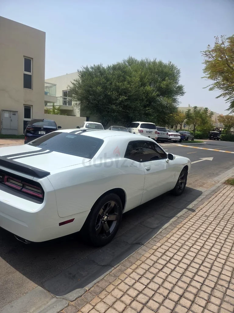 Dodge Challenger - Red Interior - Perfect Condition63224787911427112